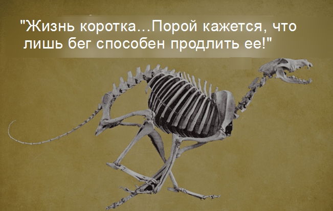 Как избавиться от жира на животе с помощью бега