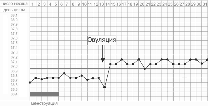 БТ после зачатия
